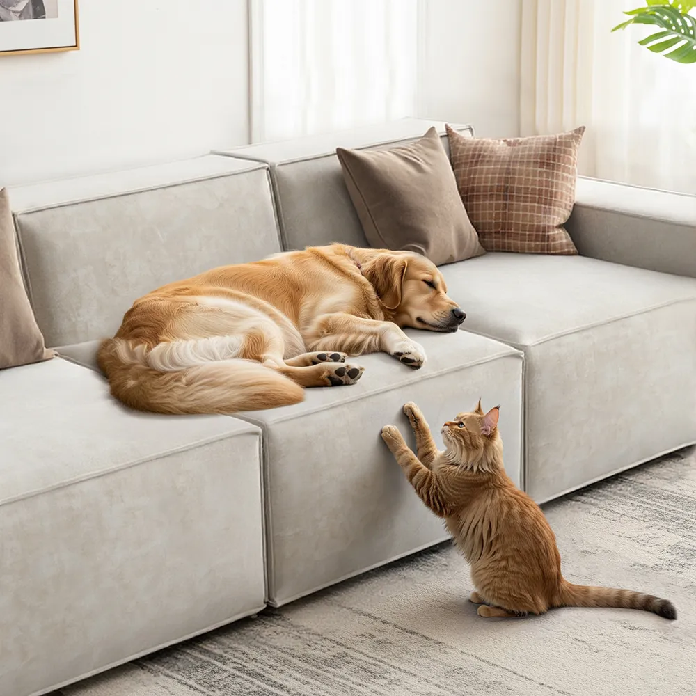 Pet-Friendly Modular Sectional Sofa Pet-Friendly Modular Sectional Sofa