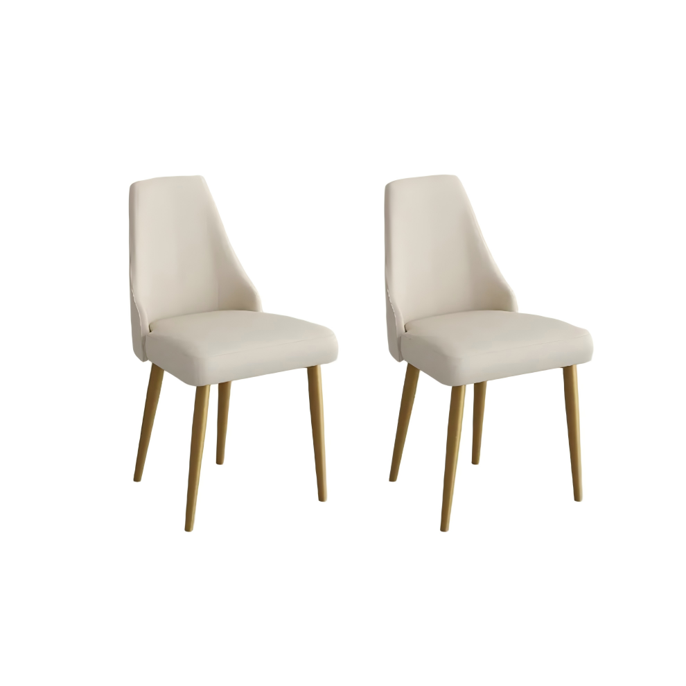 Modern Luxury Upholstered Dining Chairs Set of 2