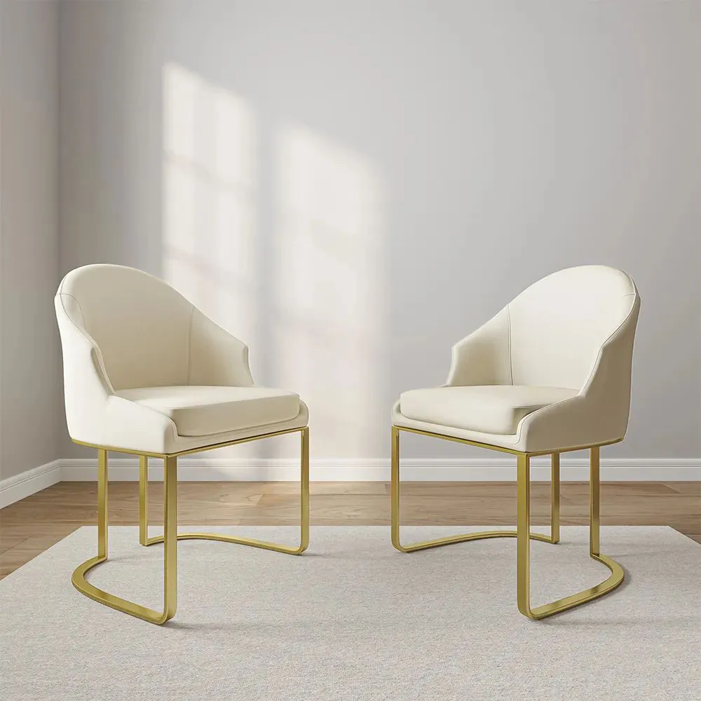 Modern Luxury Upholstered Dining Chairs Set of 2