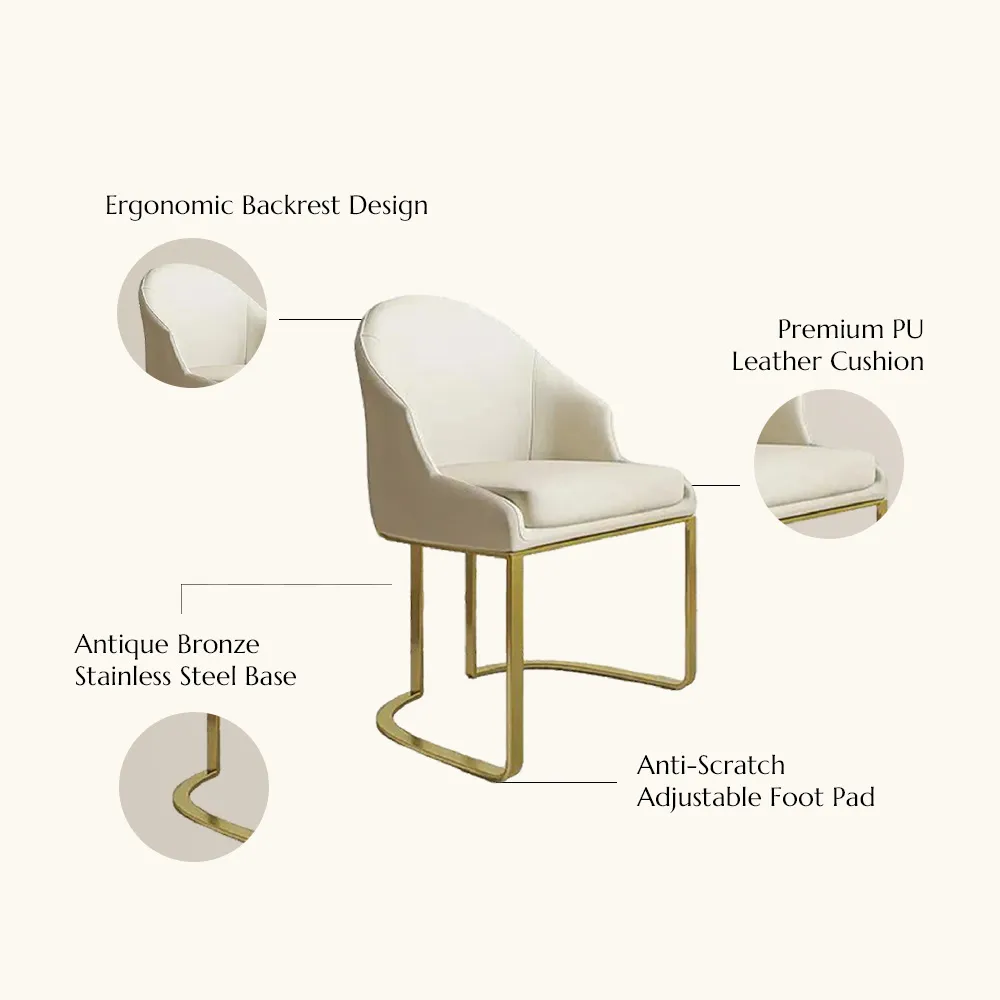 Modern Luxury Upholstered Dining Chairs Set of 2 Modern Luxury Upholstered Dining Chairs Set of 2
