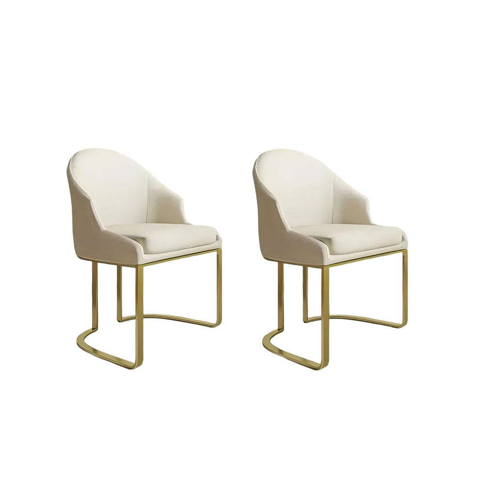 Modern Luxury Upholstered Dining Chairs Set of 2