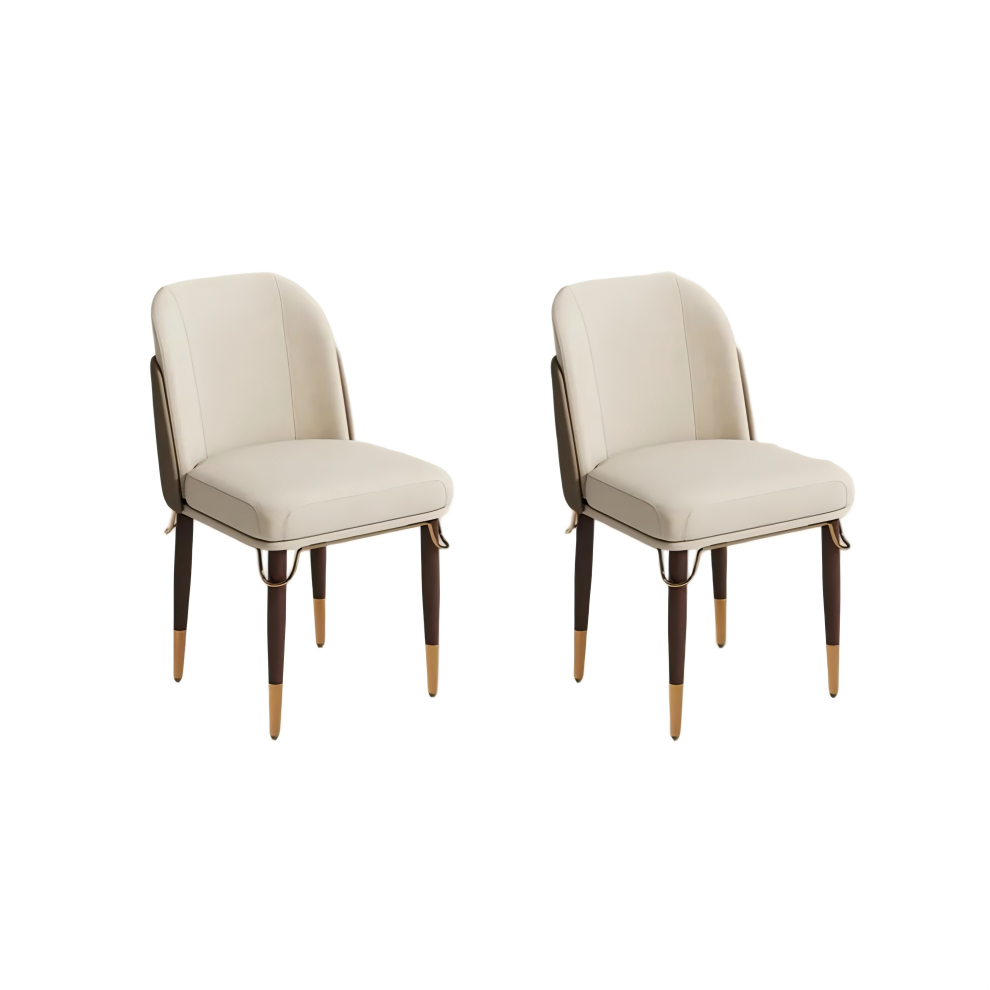 Modern Luxury Upholstered Dining Chairs Set of 2