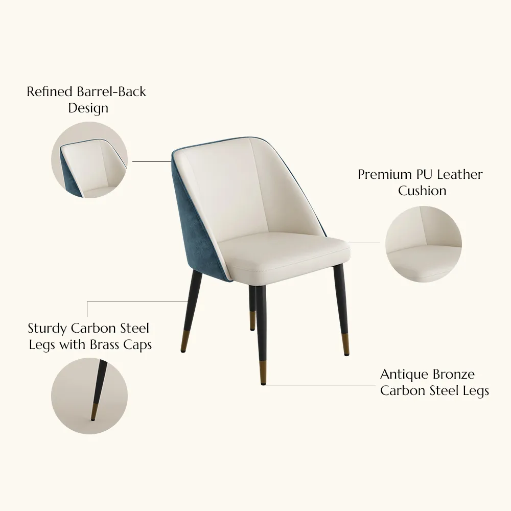 Modern Luxury Two-Tone Upholstered Dining Chairs Set of 2 Modern Luxury Two-Tone Upholstered Dining Chairs Set of 2