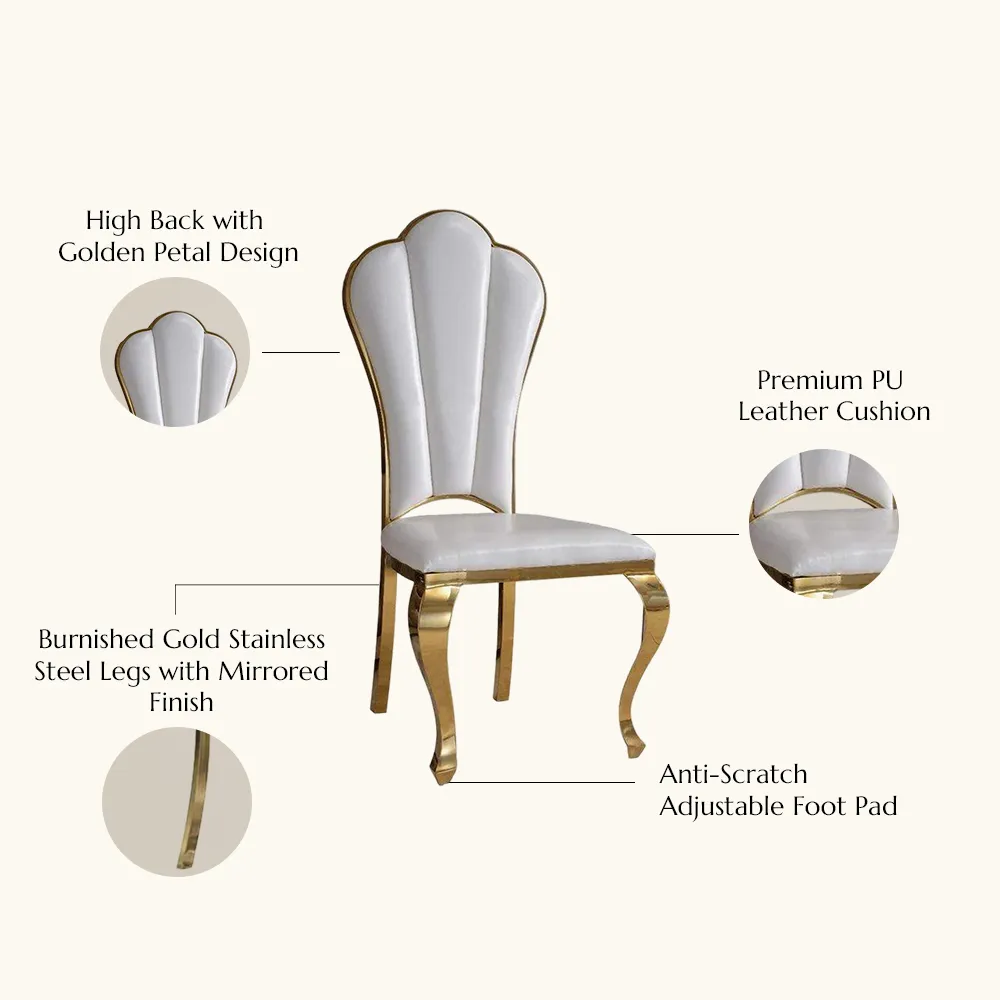 Modern Luxury High Back Dining Chairs Set of 2 Modern Luxury High Back Dining Chairs Set of 2