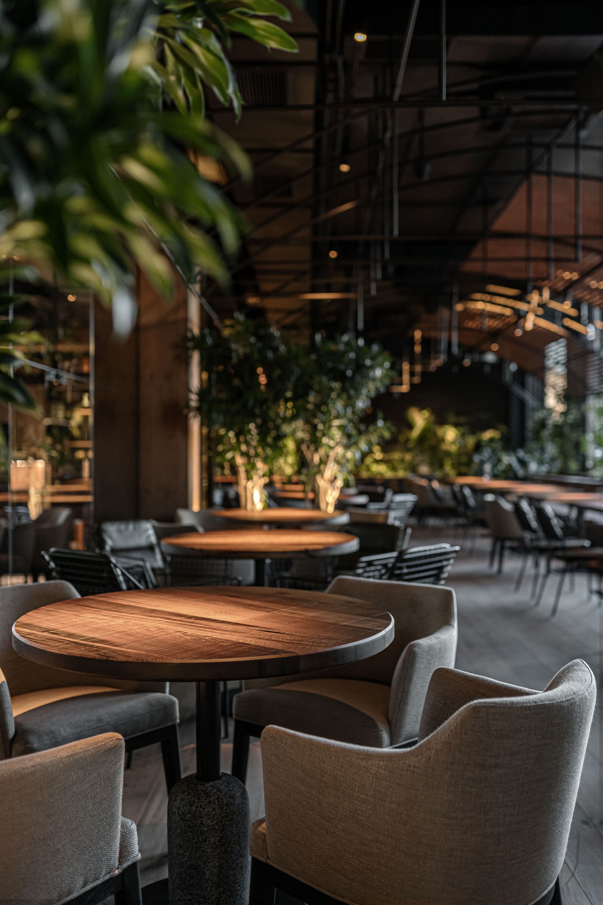 Par Bar 3 Restaurant-Daviana Group