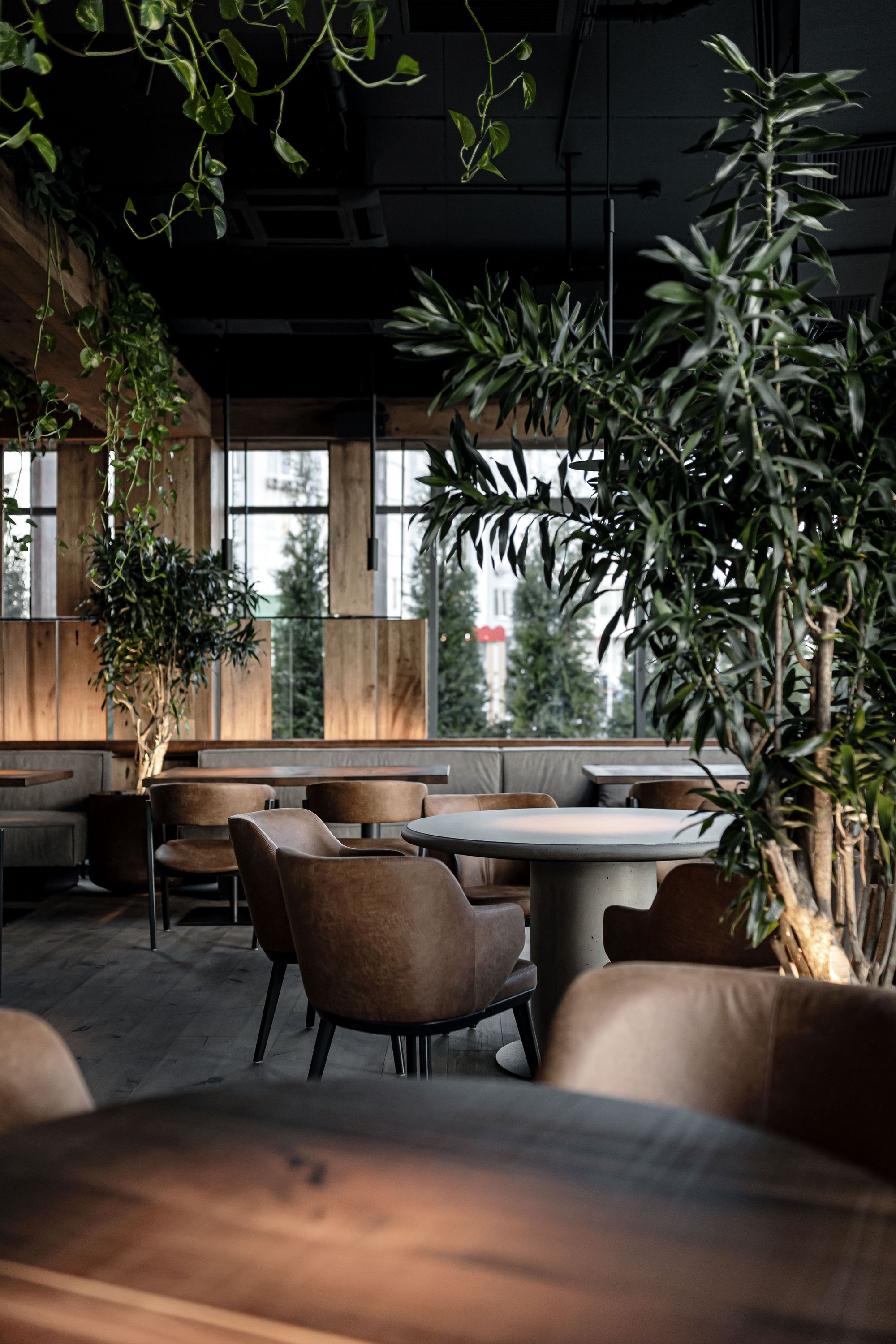 Par Bar 3 Restaurant-Daviana Group