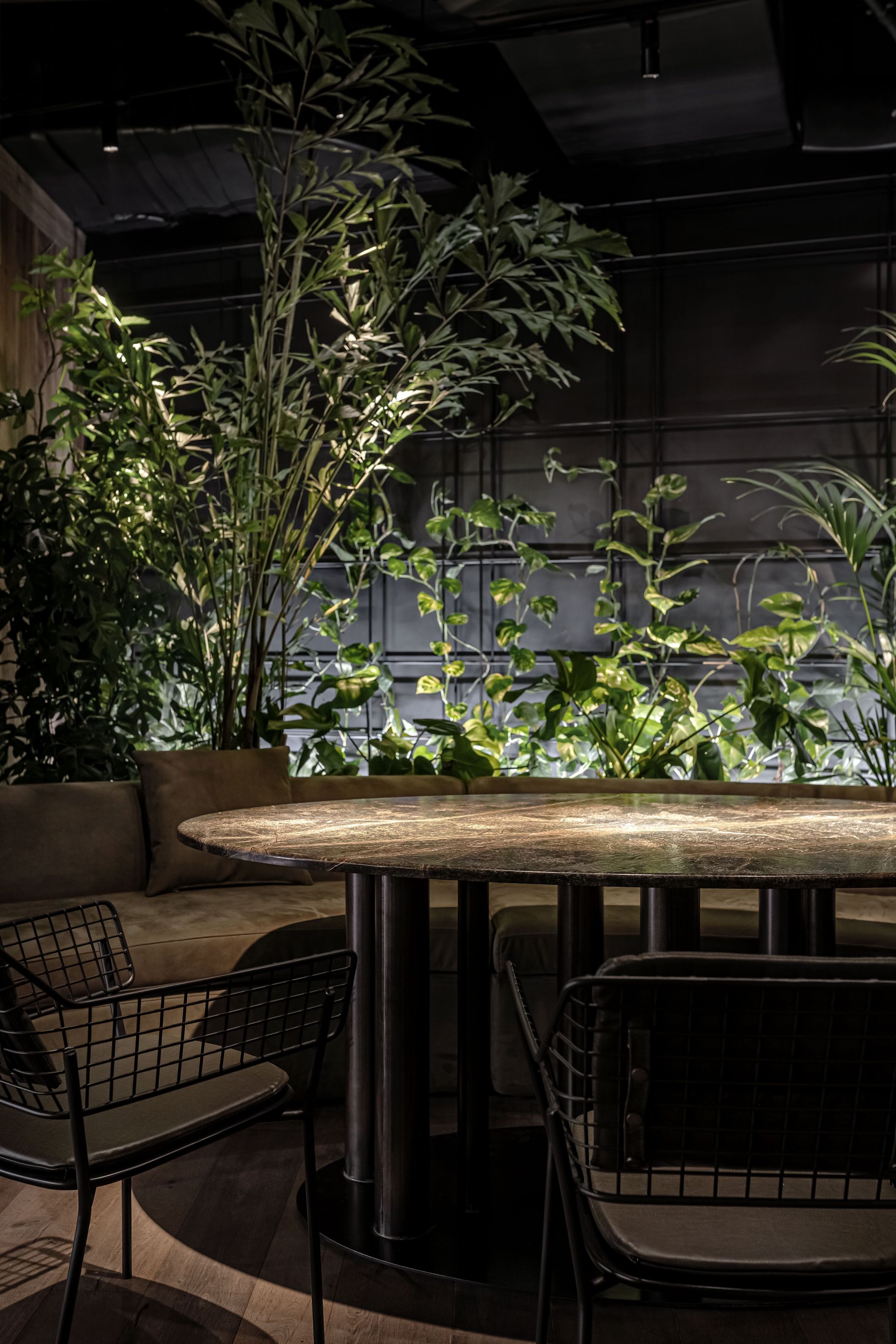 Par Bar 3 Restaurant-Daviana Group