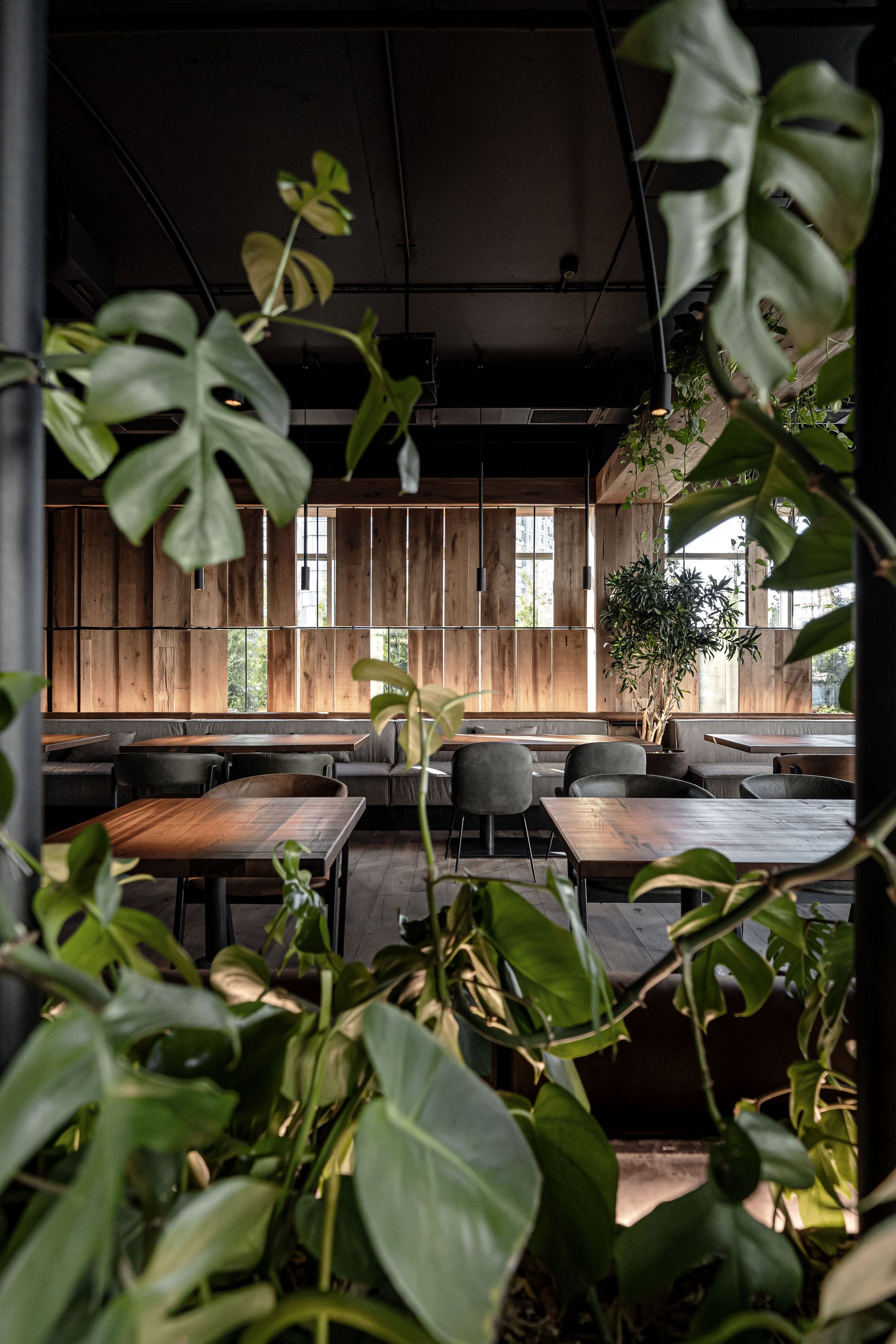 Par Bar 3 Restaurant-Daviana Group