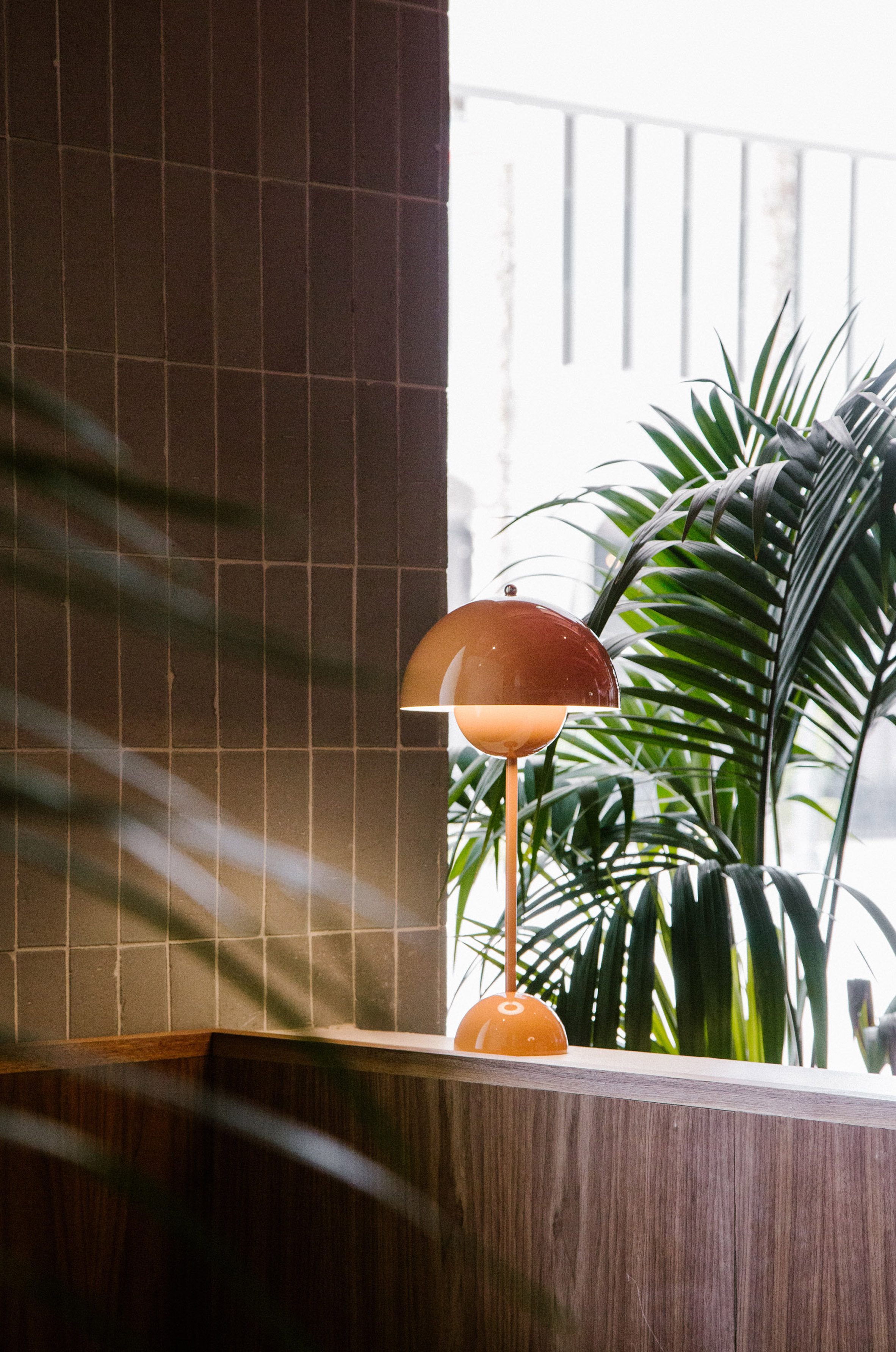 Salted Pig Restaurant-Daviana Group Salted Pig Restaurant-Daviana Group