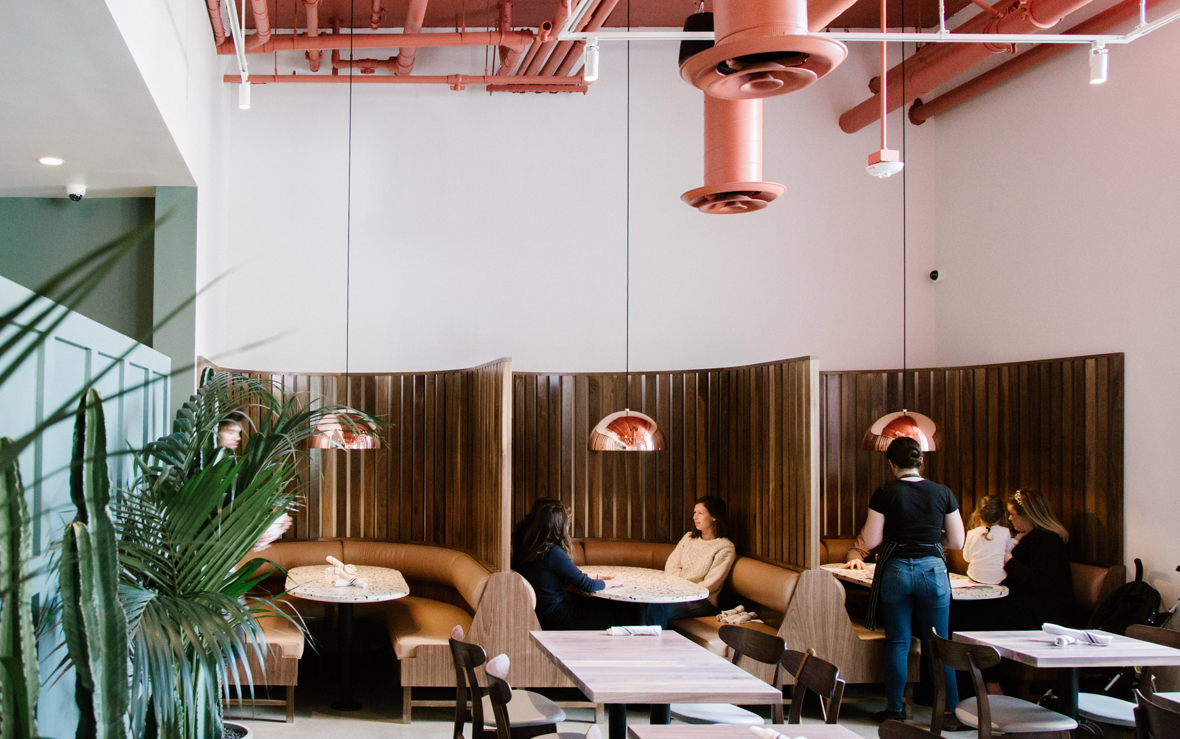 Salted Pig Restaurant-Daviana Group Salted Pig Restaurant-Daviana Group