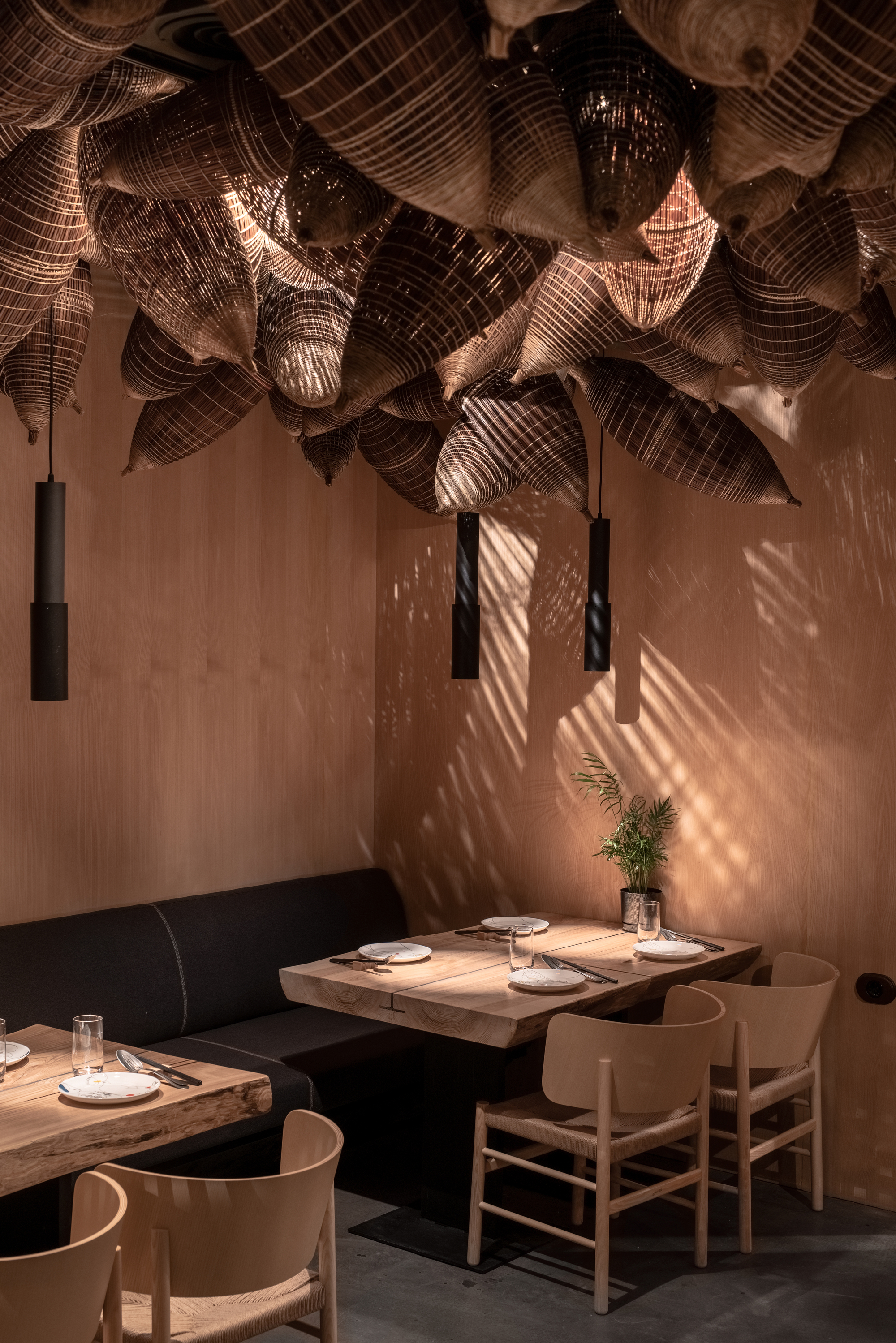 Spicy No Spicy restaurant-Daviana Group Spicy No Spicy restaurant-Daviana Group