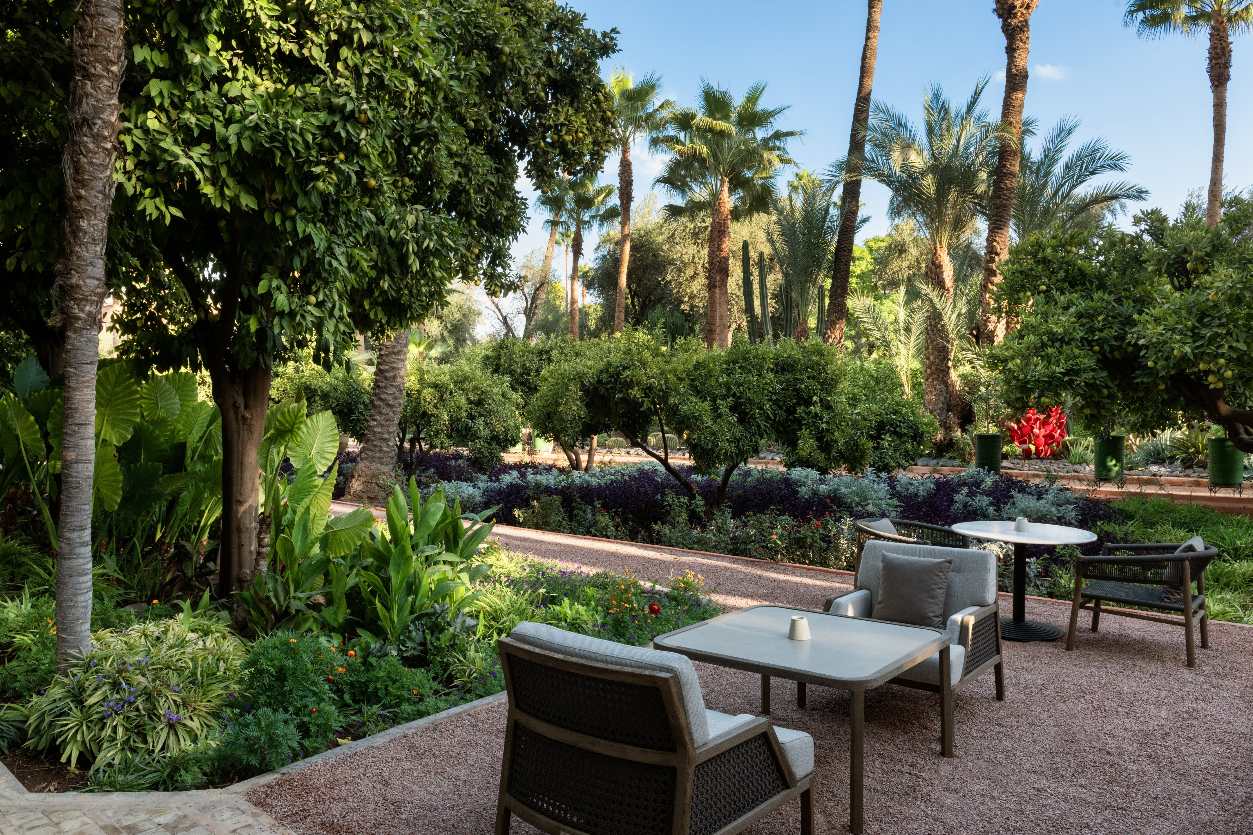 La Mamounia Restaurant-Daviana Group La Mamounia Restaurant-Daviana Group