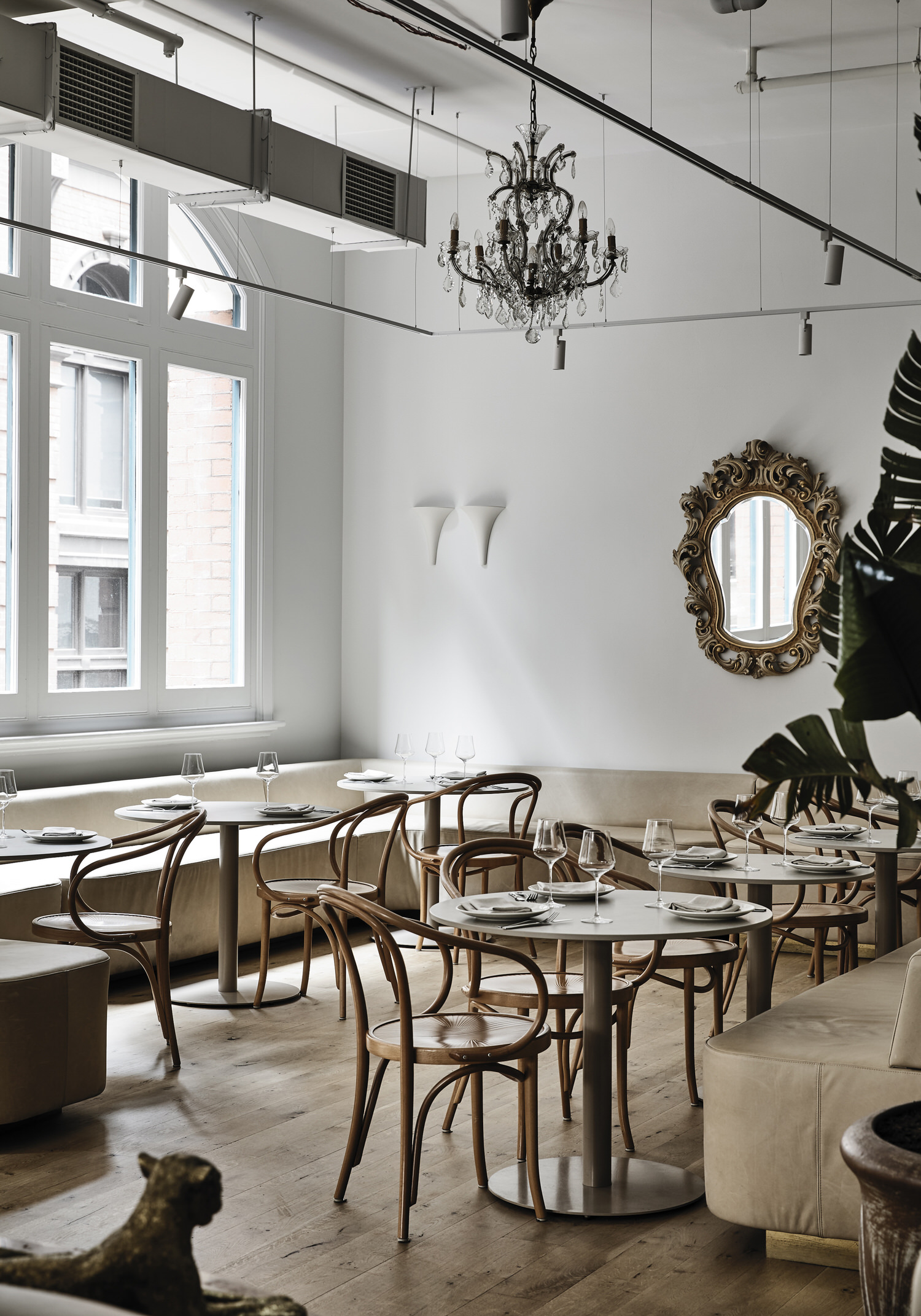 HAZEL Restaurant-Daviana Group