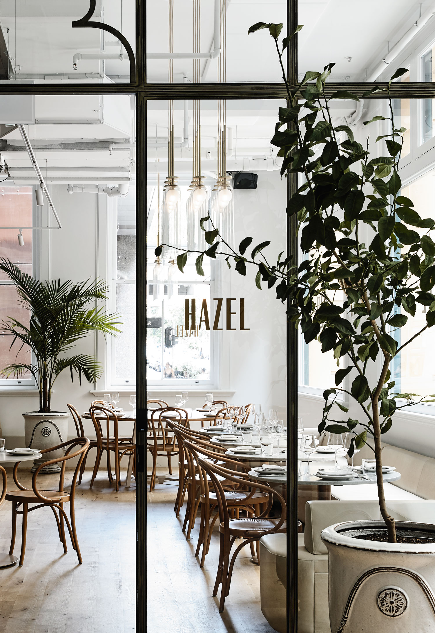 HAZEL Restaurant-Daviana Group