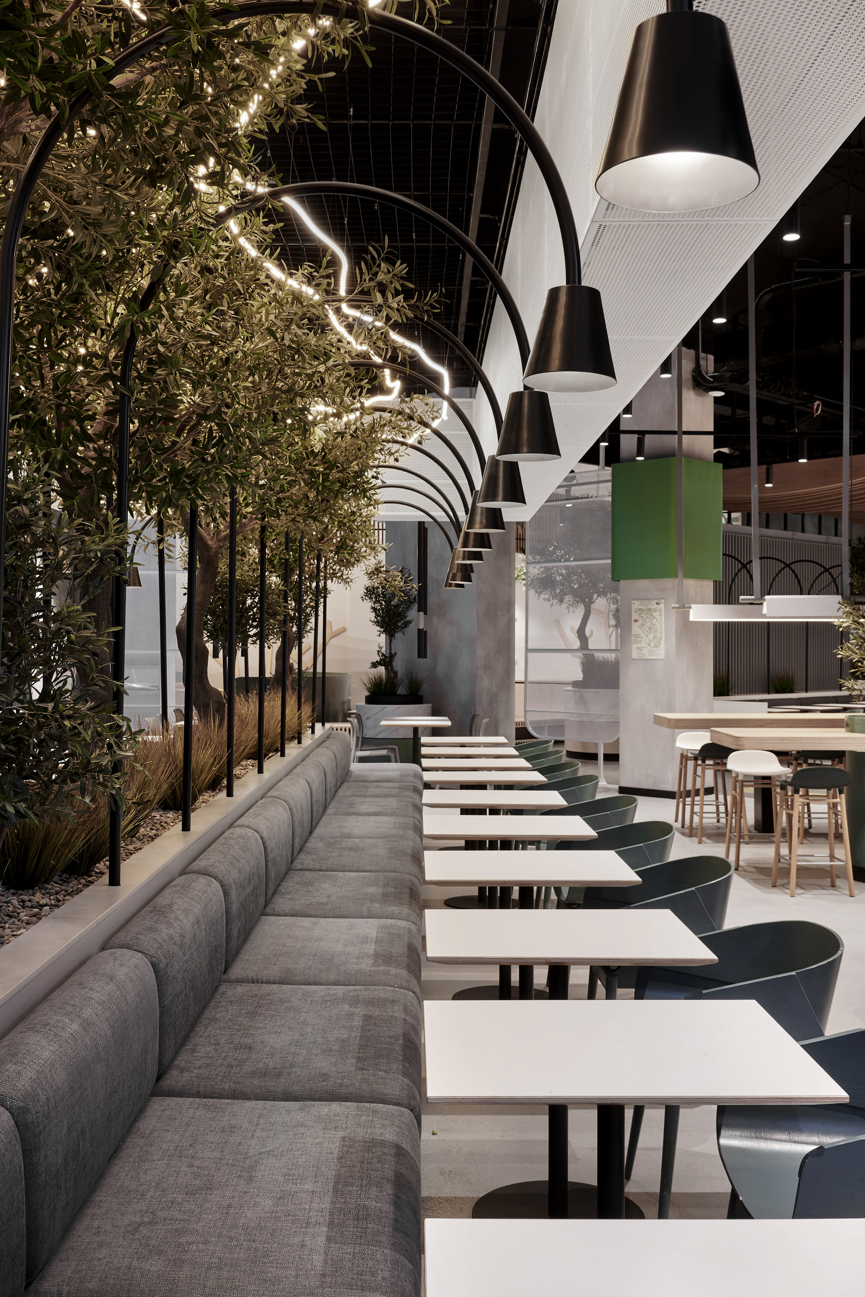 City Food-Daviana Group
