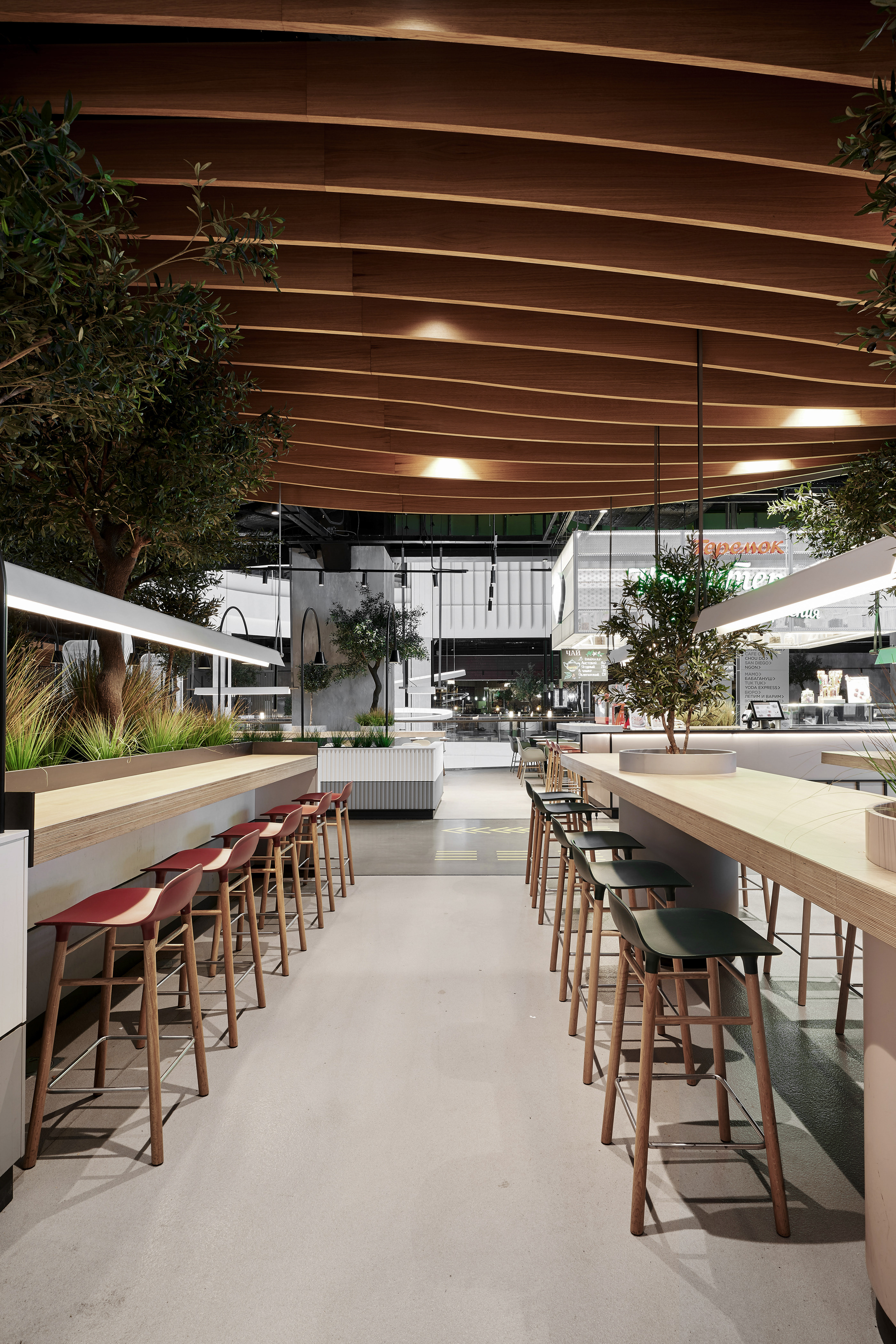 City Food-Daviana Group
