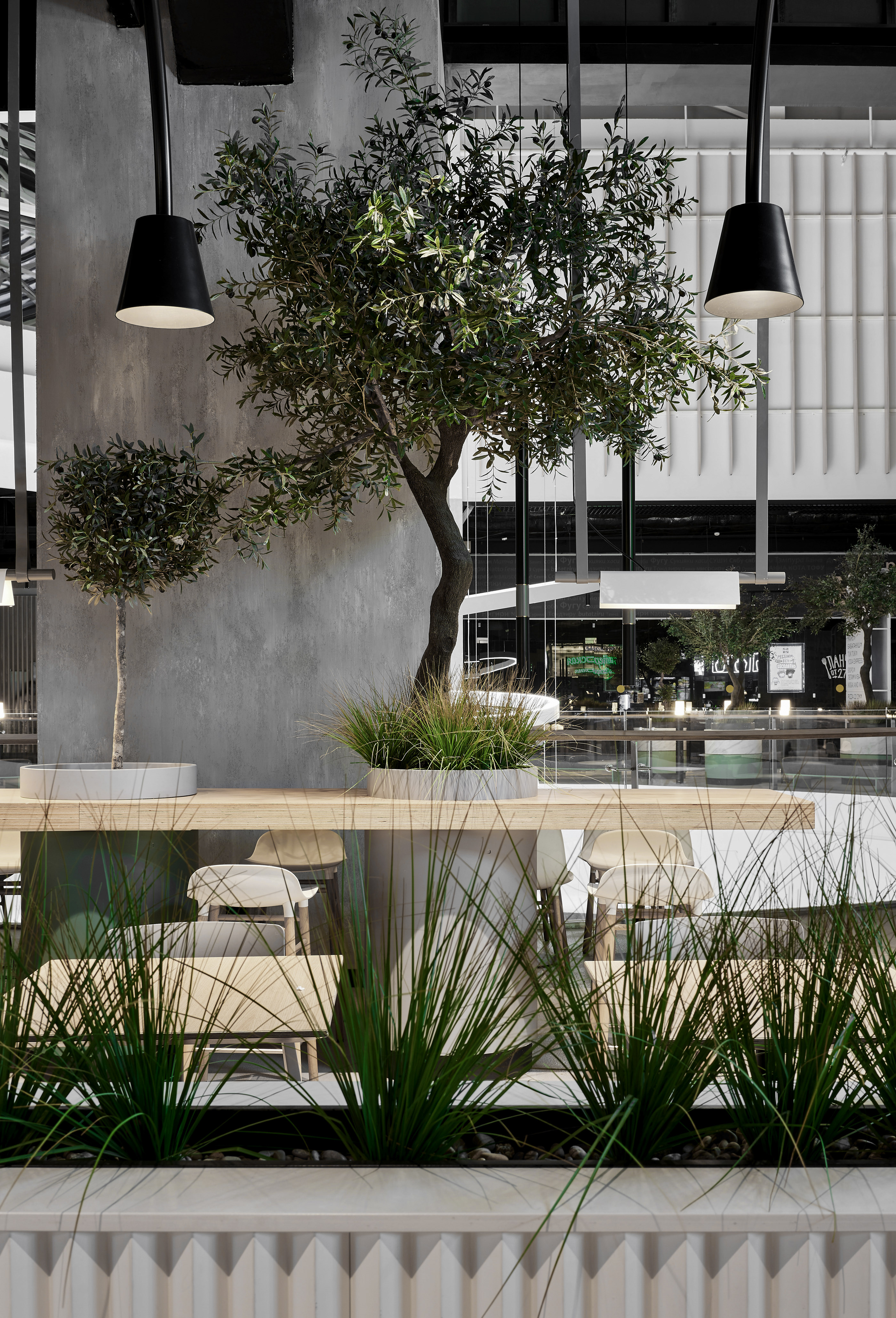 City Food-Daviana Group