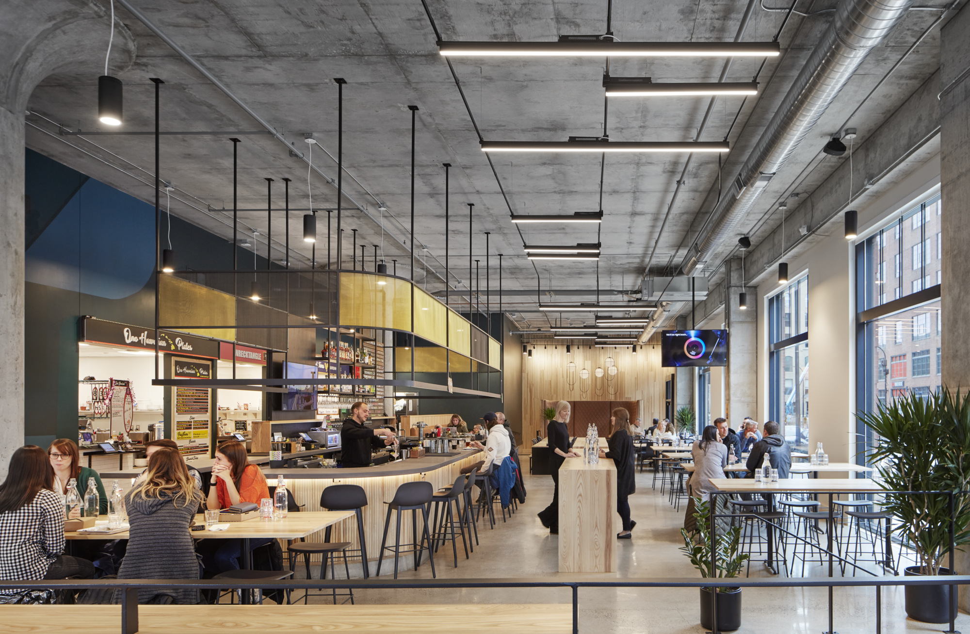 The North Loop Galley-Daviana Group The North Loop Galley-Daviana Group