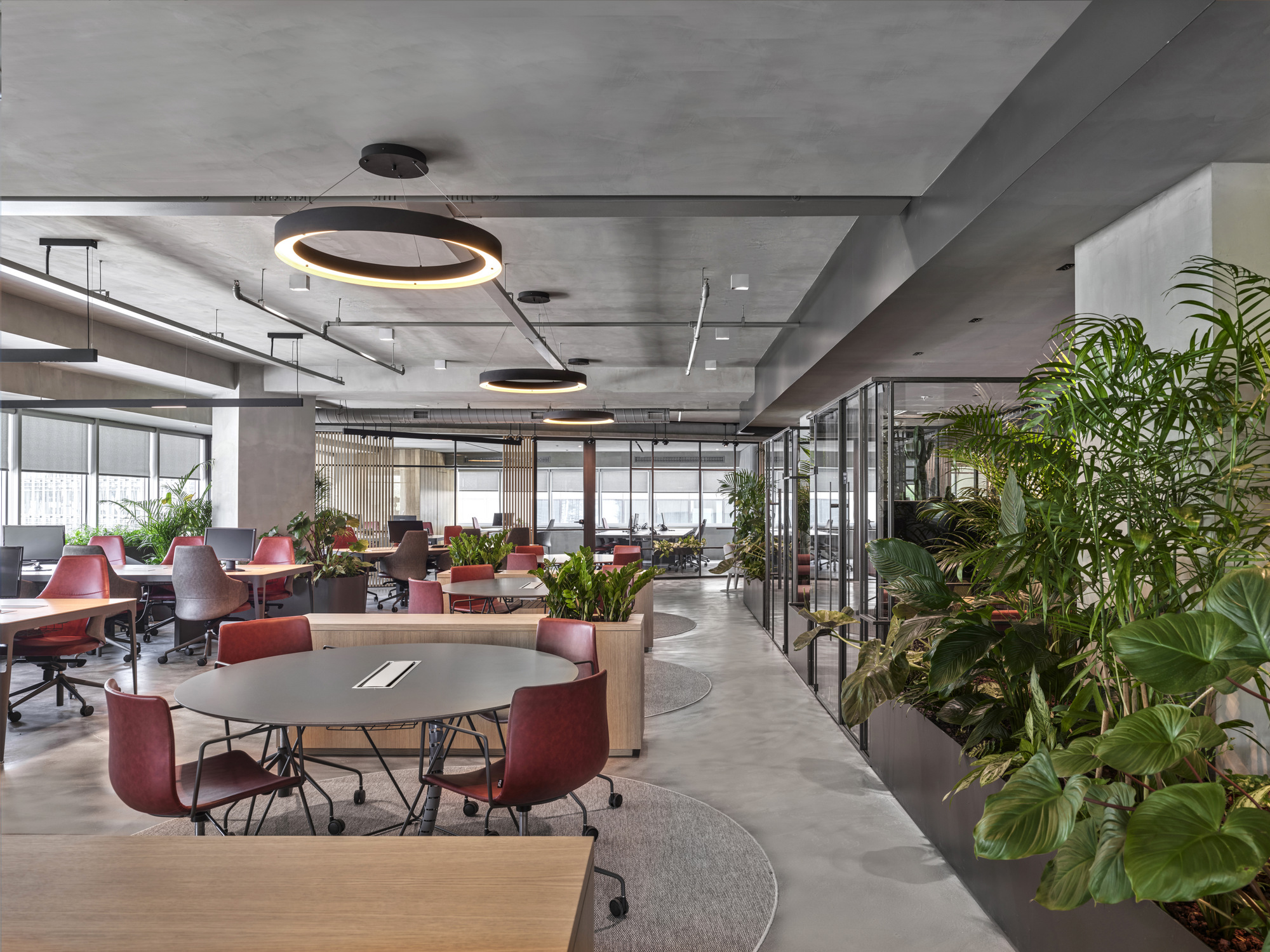 Enocta’s offices-Daviana Group