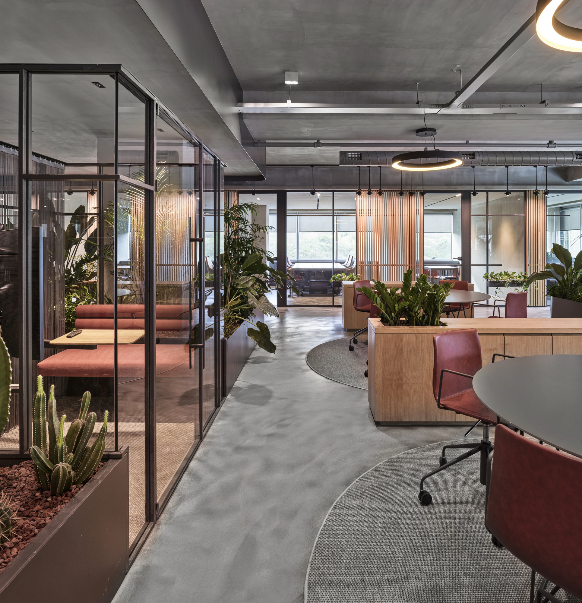 Enocta’s offices-Daviana Group