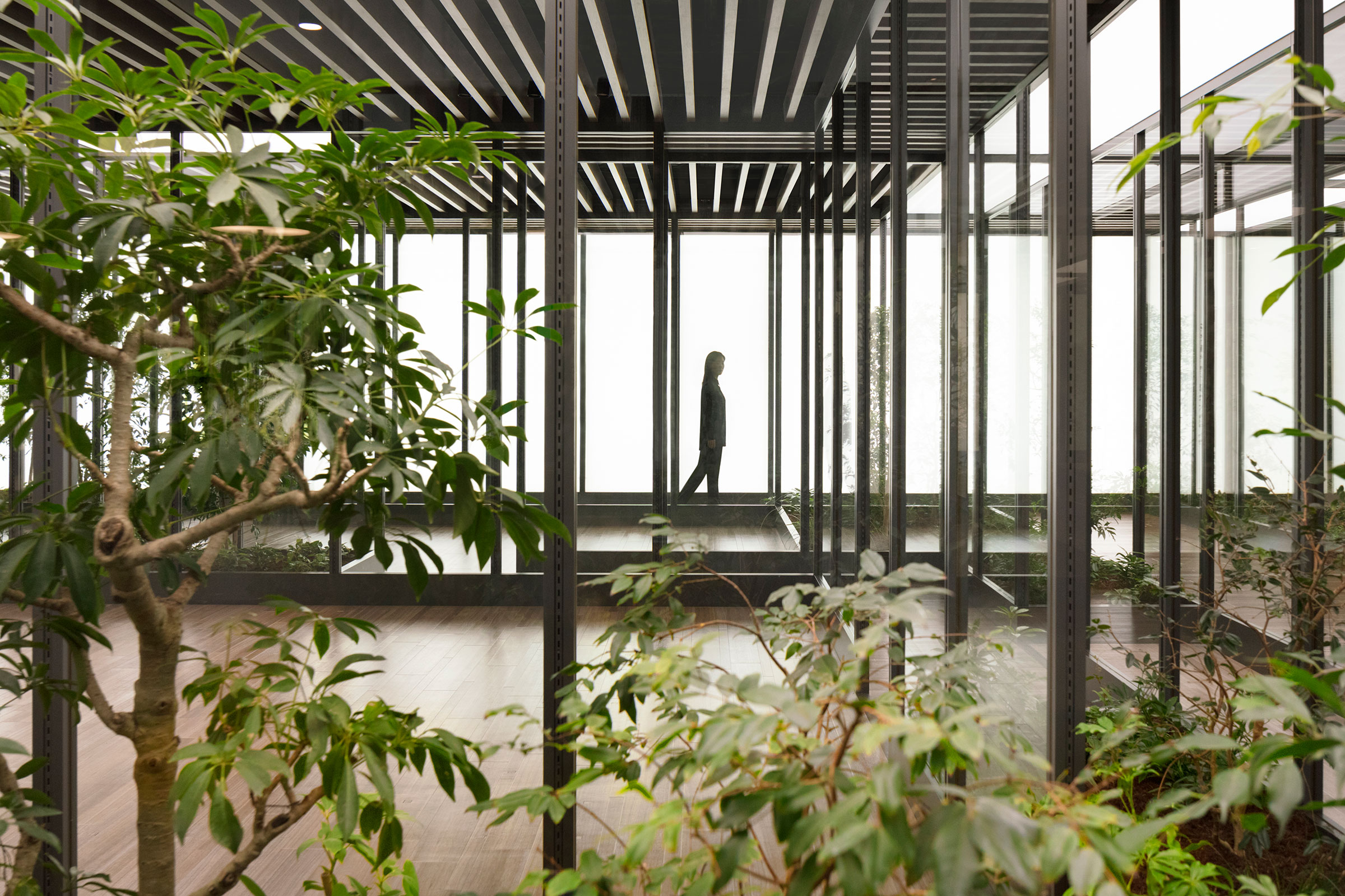SUMUFUMU TERRACE-Daviana Group SUMUFUMU TERRACE-Daviana Group