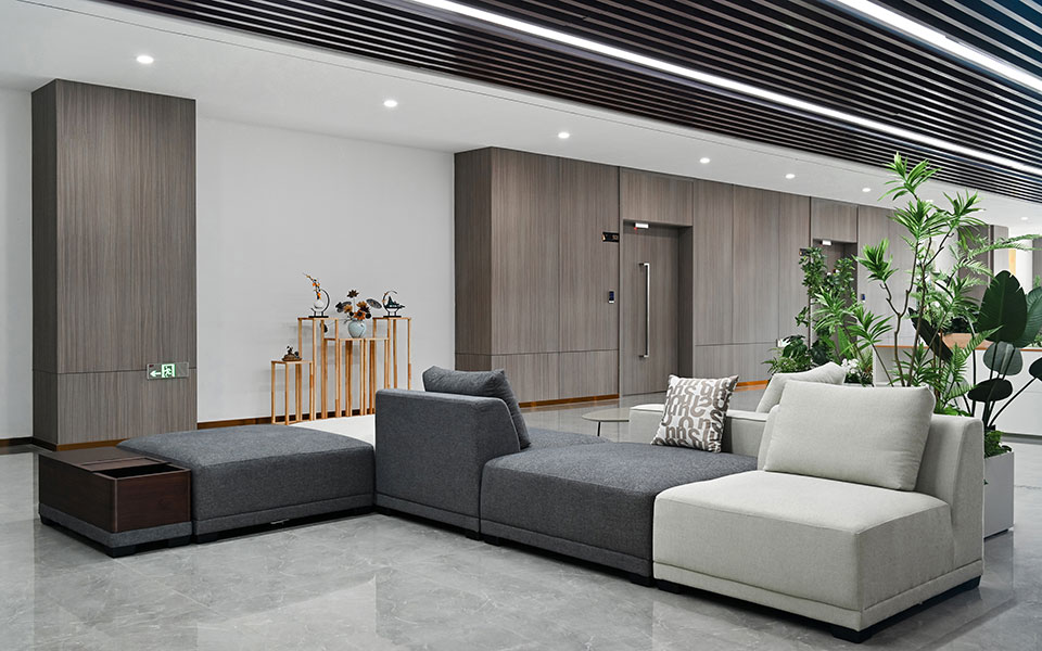 Nanjing Longxin Electronics Technology Co., Ltd.-Daviana Group