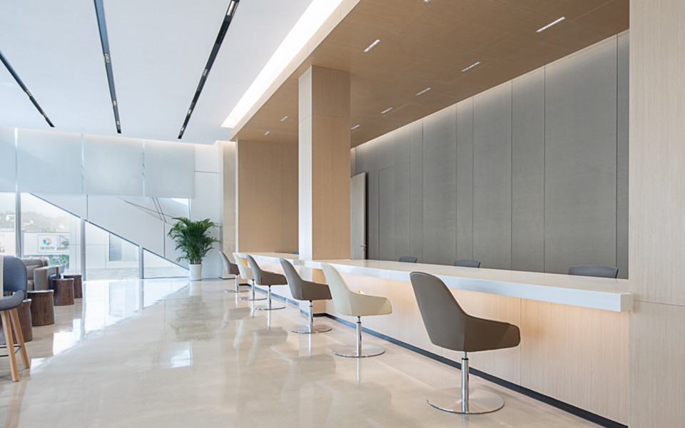 Shenzhen Investment Holdings Shenshan Science and Technology Eco-Park-Daviana Group