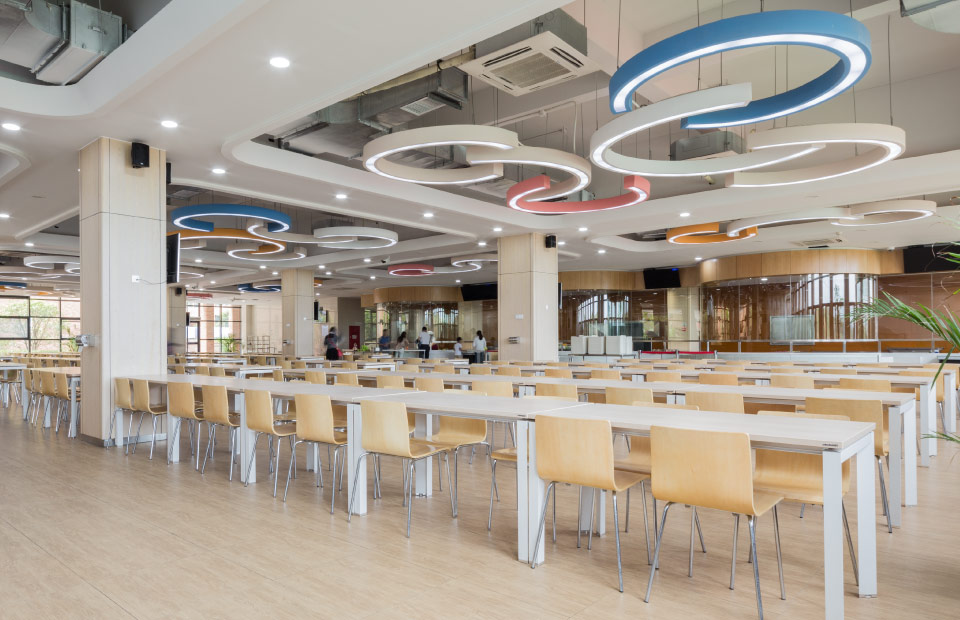 Hailiang Education Group-Daviana Group