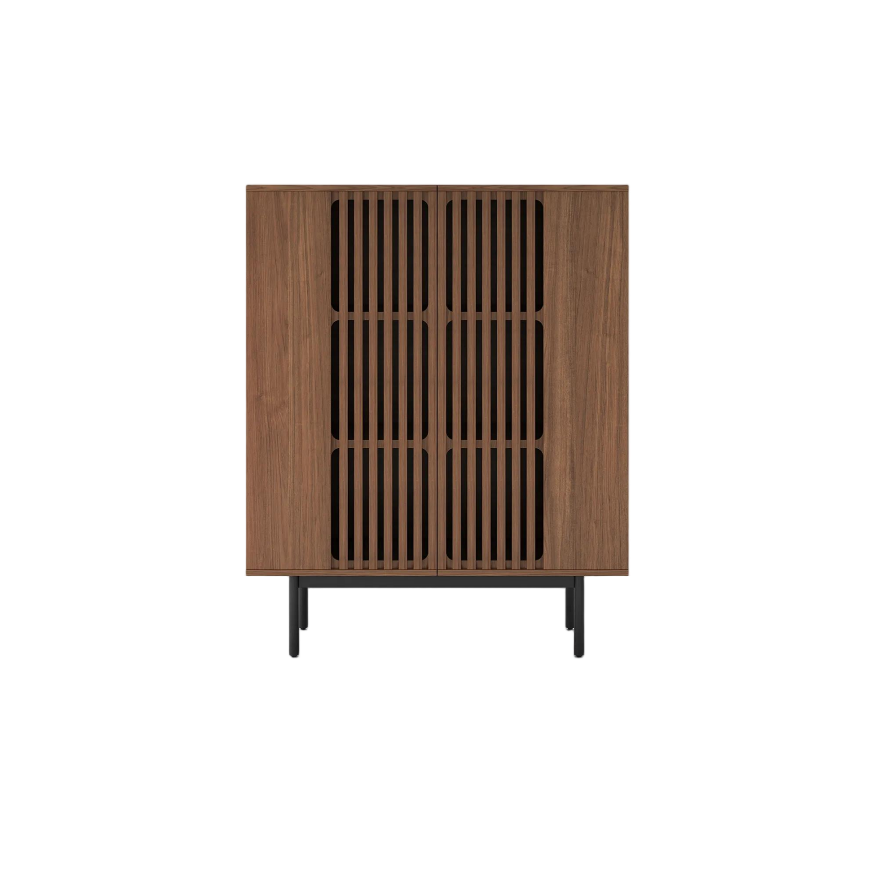  Mid-Century Modern Storage Cabinet