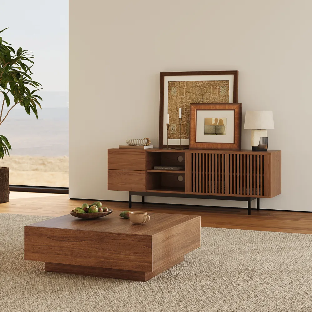 VISION-Mid-Century Modern TV Stand